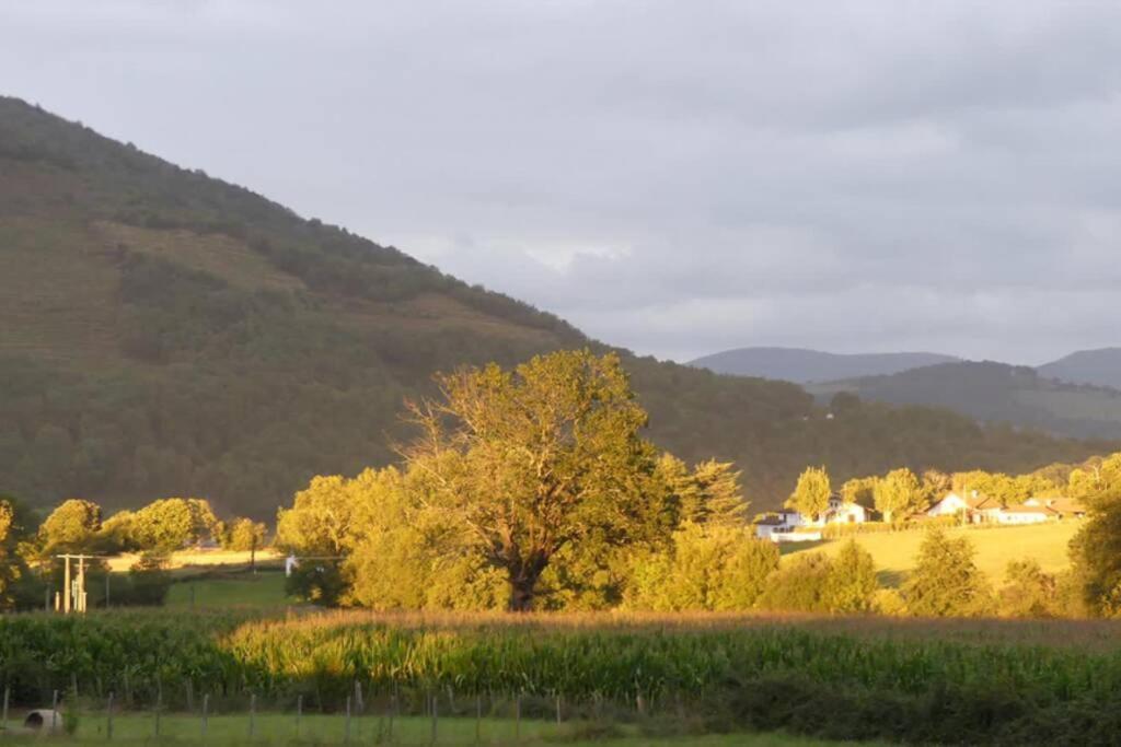 Anhaux Charmante Maison Basque. Ideale Famille & Enfants מראה חיצוני תמונה